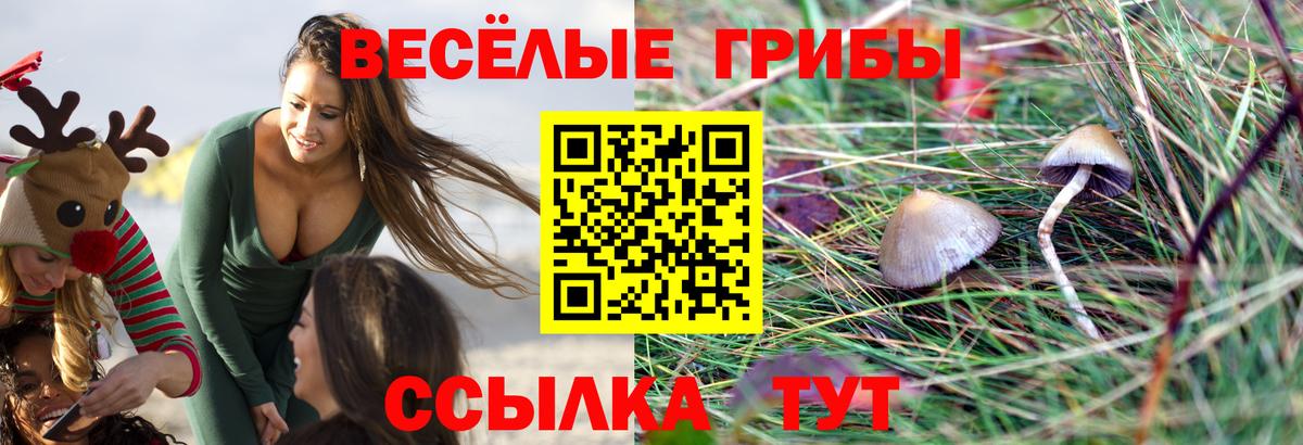 Галлюциногенные грибы Magic Shrooms  Галлюциногенные грибы мицелий  Гагарин  Вход с VPN 