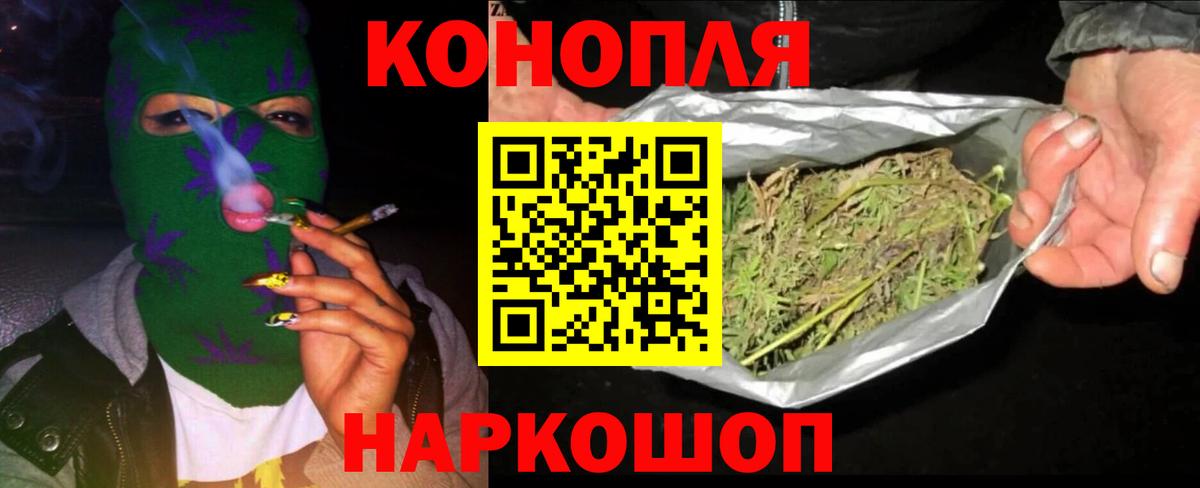 Бошки Шишки MAZAR Гагарин